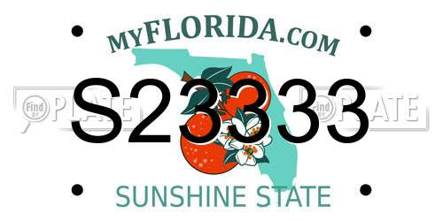 S23333 Florida License Plate