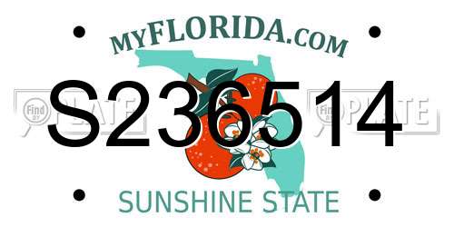 S236514 Florida License Plate