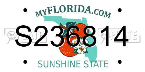 S236814 Florida License Plate
