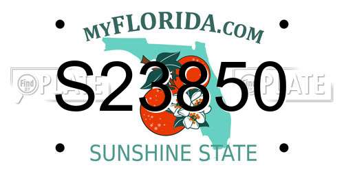 S23850 Florida License Plate
