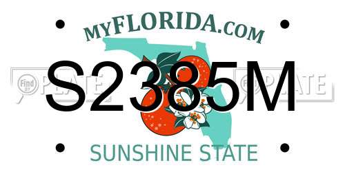 S2385M Florida License Plate
