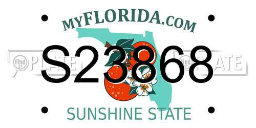 S23868 Florida License Plate