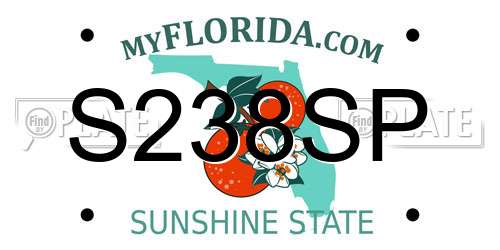 S238SP Florida License Plate