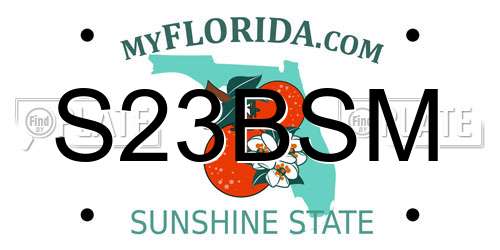 S23BSM Florida License Plate