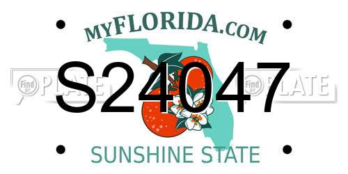 S24047 Florida License Plate