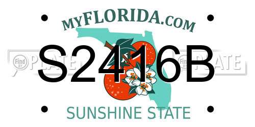 S2416B Florida License Plate