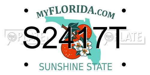 S2417T Florida License Plate