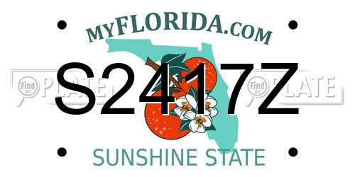 S2417Z Florida License Plate