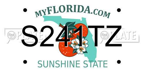 S241TZ Florida License Plate