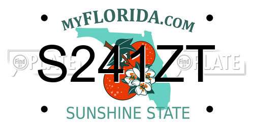 S241ZT Florida License Plate