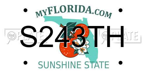 S243TH Florida License Plate