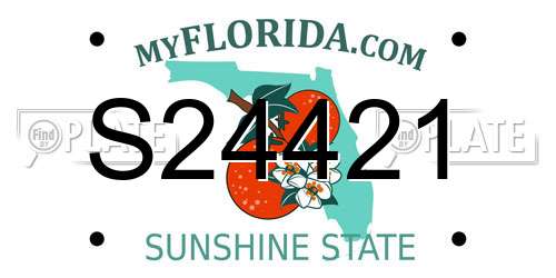 S24421 Florida License Plate