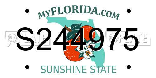 S244975 Florida License Plate