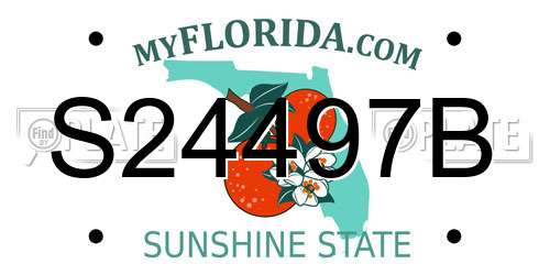 S24497B Florida License Plate