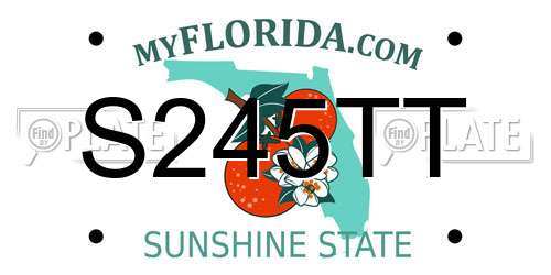 S245TT Florida License Plate