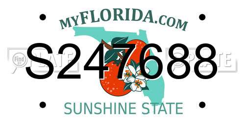 S247688 Florida License Plate