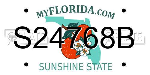 S24768B Florida License Plate