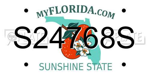 S24768S Florida License Plate