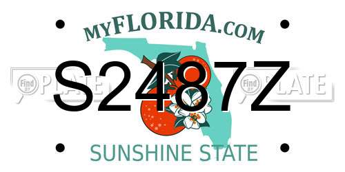 S2487Z Florida License Plate