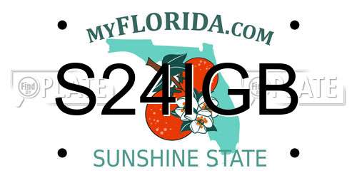 S24IGB Florida License Plate