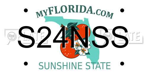 S24NSS Florida License Plate