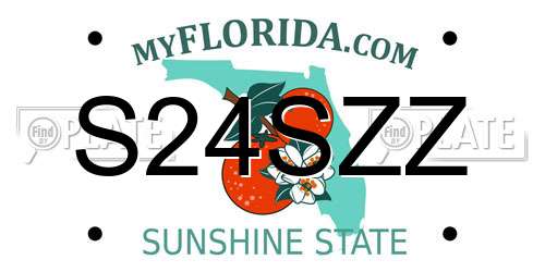S24SZZ Florida License Plate
