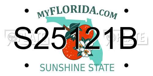 S25121B Florida License Plate