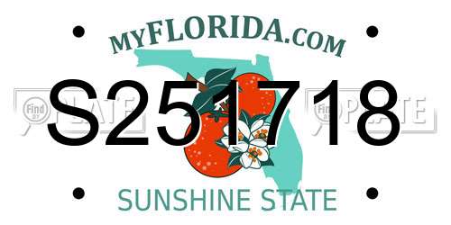 S251718 Florida License Plate