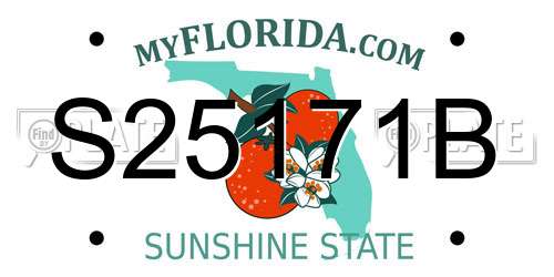 S25171B Florida License Plate
