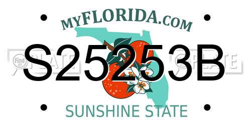 S25253B Florida License Plate