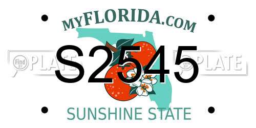 S2545 Florida License Plate