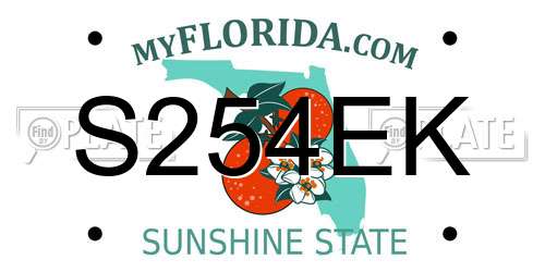 S254EK Florida License Plate
