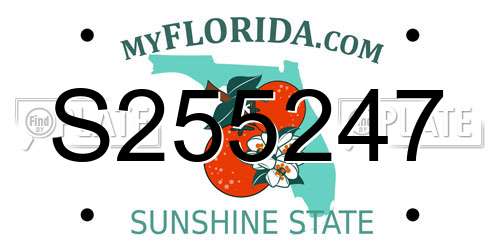 S255247 Florida License Plate