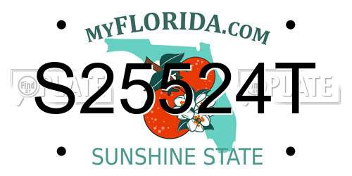 S25524T Florida License Plate