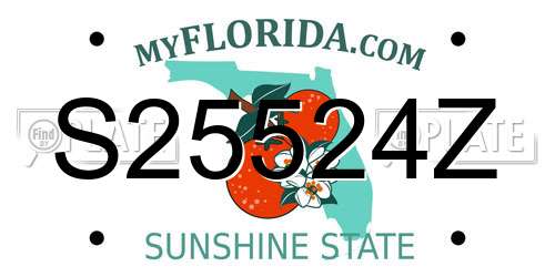 S25524Z Florida License Plate