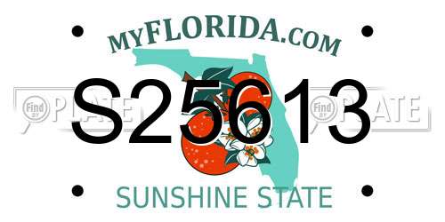 S25613 Florida License Plate