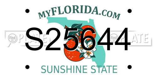 S25644 Florida License Plate