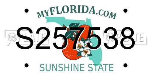 S257538 Florida License Plate