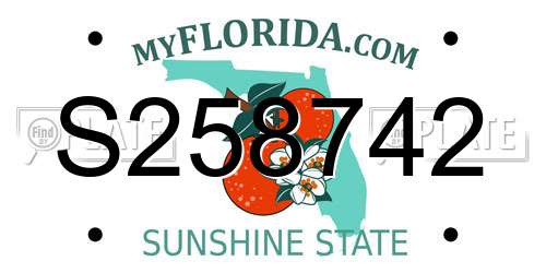 S258742 Florida License Plate