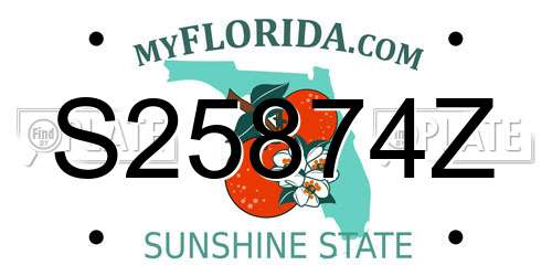 S25874Z Florida License Plate