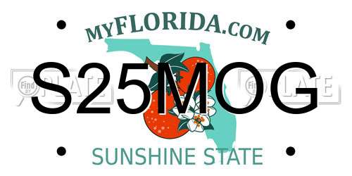 S25MOG Florida License Plate