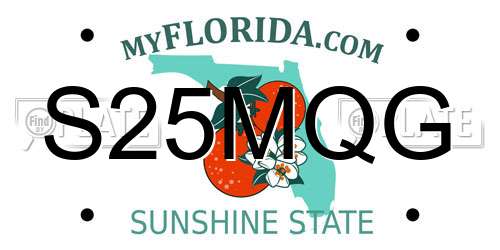 S25MQG Florida License Plate