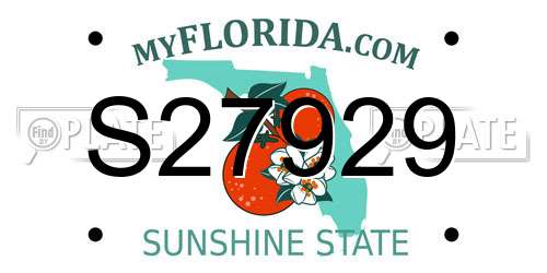 S27929 Florida License Plate