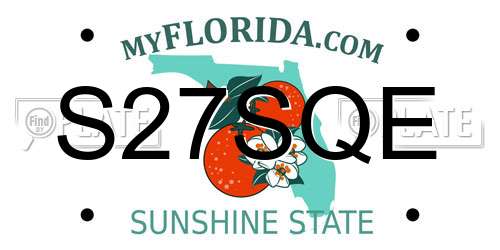 S27SQE Florida License Plate