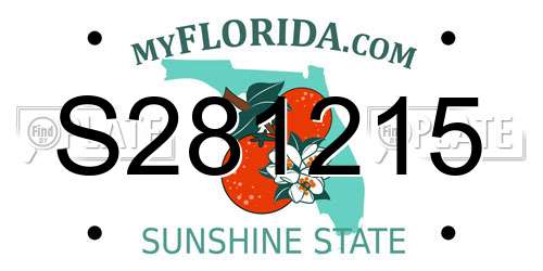 S281215 Florida License Plate