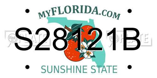 S28121B Florida License Plate