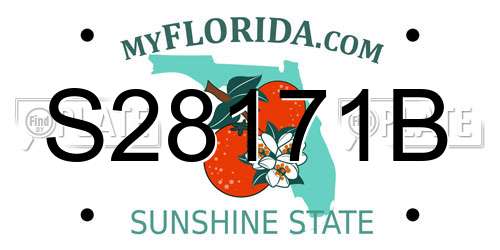 S28171B Florida License Plate