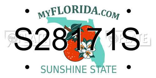 S28171S Florida License Plate