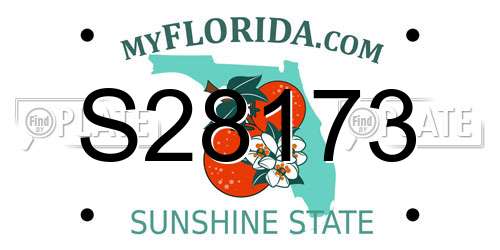 S28173 Florida License Plate