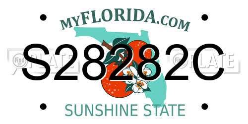 S28282C Florida License Plate